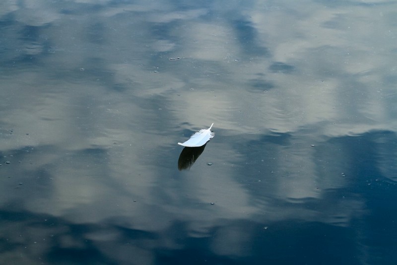 Floating Feather