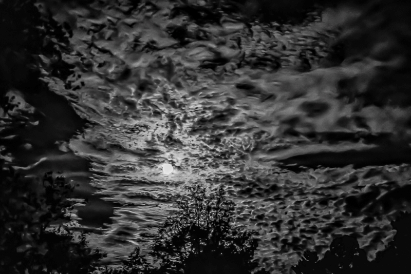 Clouds by the Light of the Moon