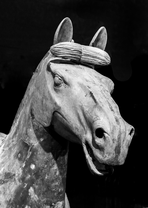 War Horse 220 B.C.