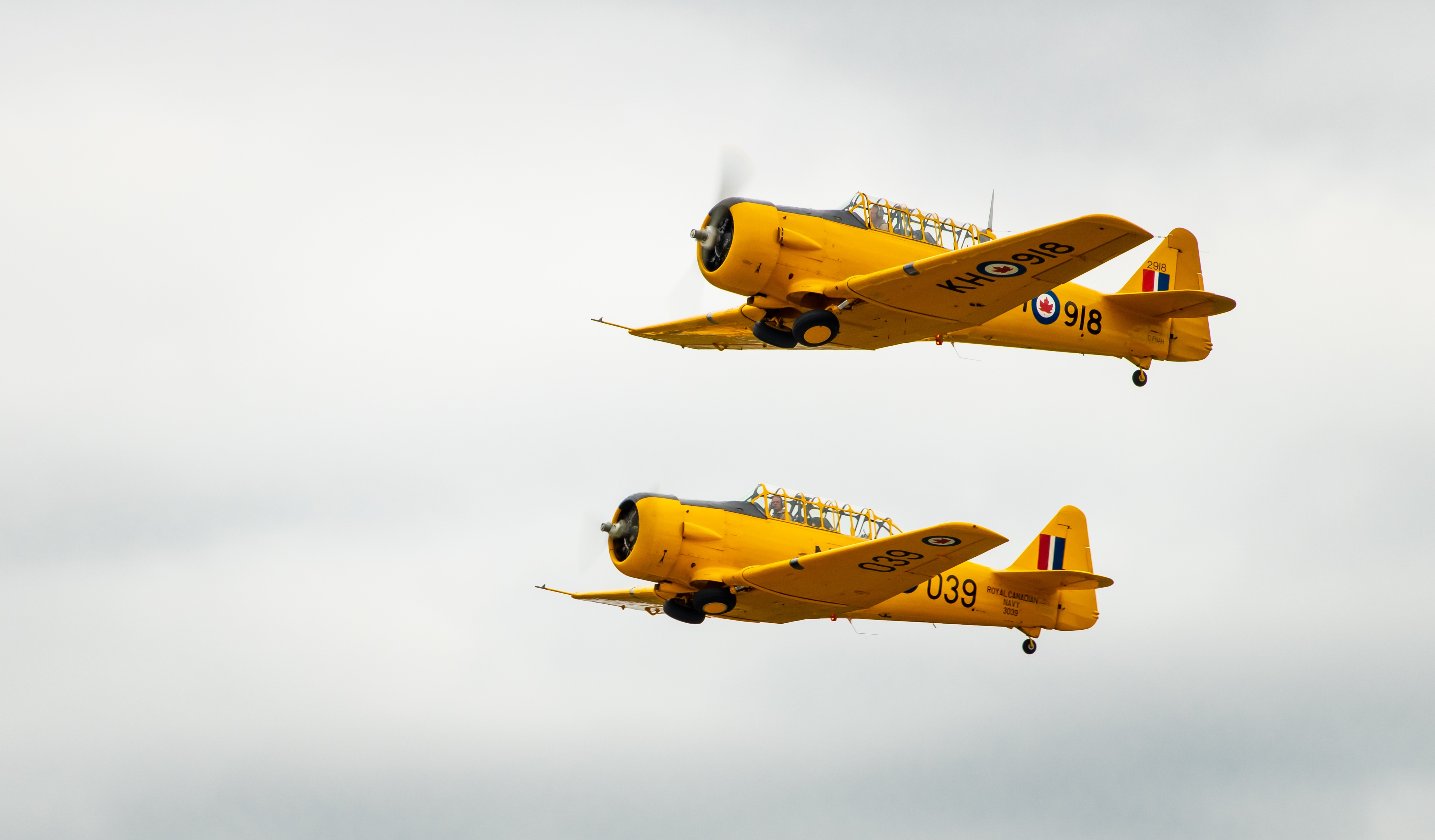 Royal Canadian T-6 Formation